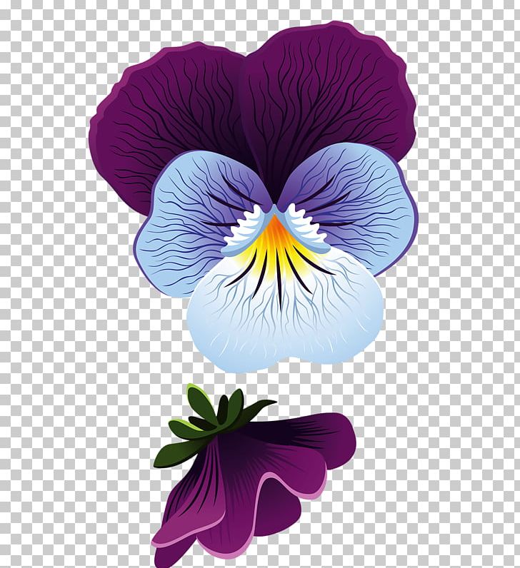 Flower Pansy Leaf PNG, Clipart, Art, Bud, Drawing, Floral Design, Flowering Plant Free PNG Download