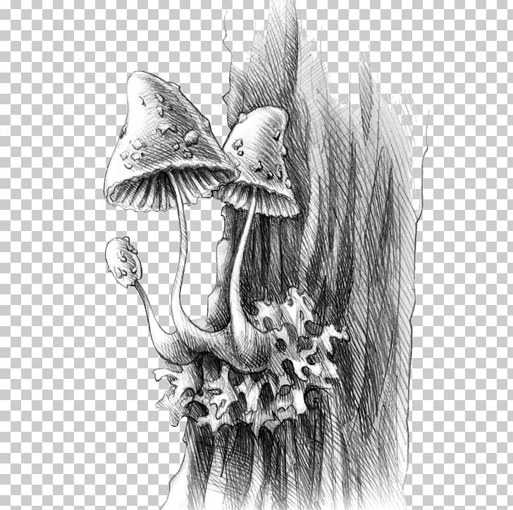 FORESTIUM Portallas Flora Drawing Sketch PNG, Clipart, Angel, Animal, Artwork, Black And White, Costume Design Free PNG Download