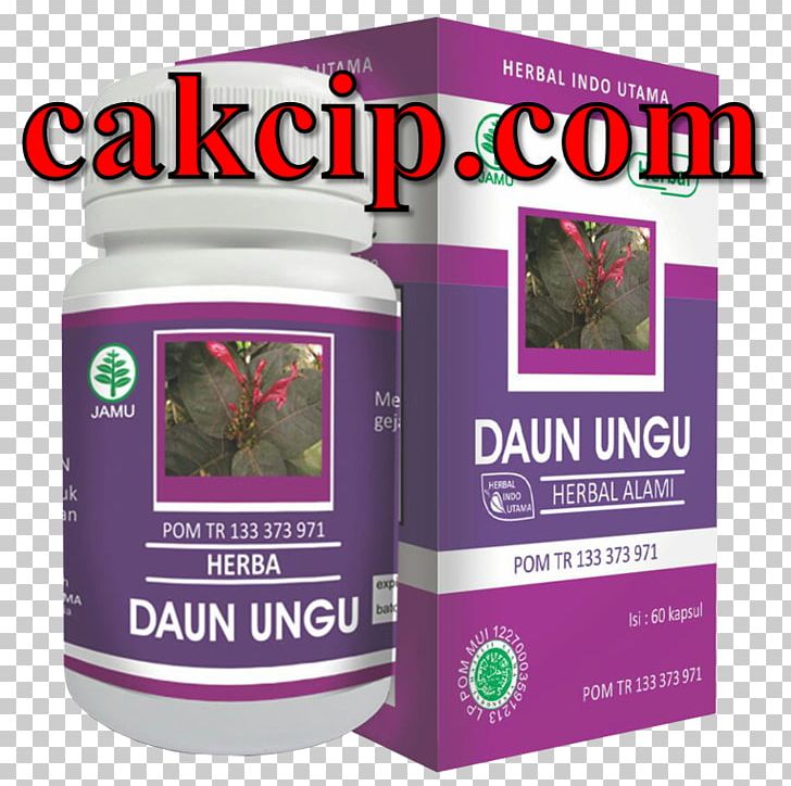 Graptophyllum Pictum Capsule Drug Tangerang Surabaya PNG, Clipart, Capsule, Drug, Graptophyllum Pictum, Herb, Herbal Free PNG Download