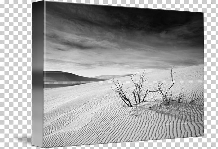 Still Life Photography Frames Stock Photography PNG, Clipart, Artwork, Black And White, Film Frame, Landscape, M083vt Free PNG Download