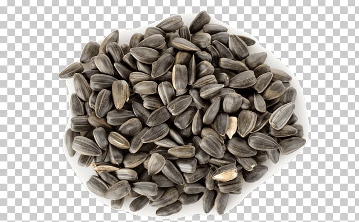 Sunflower Seed Common Sunflower Pumpkin Seed PNG, Clipart, Bread, Chia, Chia Seed, Commodity, Common Sunflower Free PNG Download