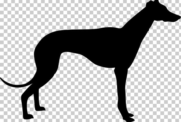 Greyhound Silhouette PNG, Clipart, Animals, Animal Silhouettes, Animal Sports, Art, Black And White Free PNG Download