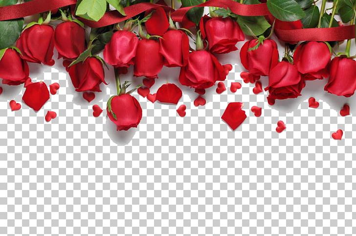 Love Song Romance PNG, Clipart, Background, Creative, Desktop Wallpaper, Floral Design, Floristry Free PNG Download