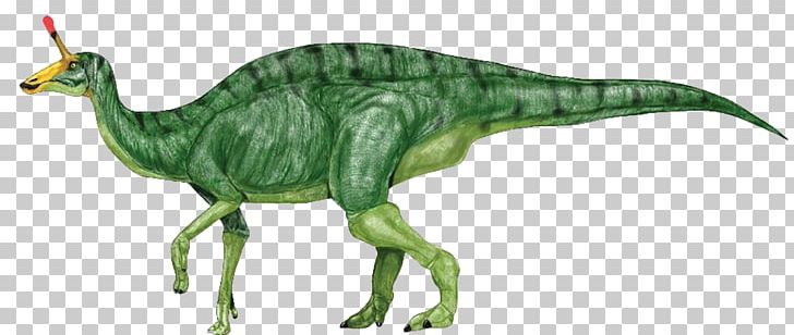 Tsintaosaurus Amurosaurus Jaxartosaurus Iguanodontia Corythosaurus PNG, Clipart, Animal Figure, Cerapoda, Corythosaurus, Cretaceous, Dinosaur Free PNG Download