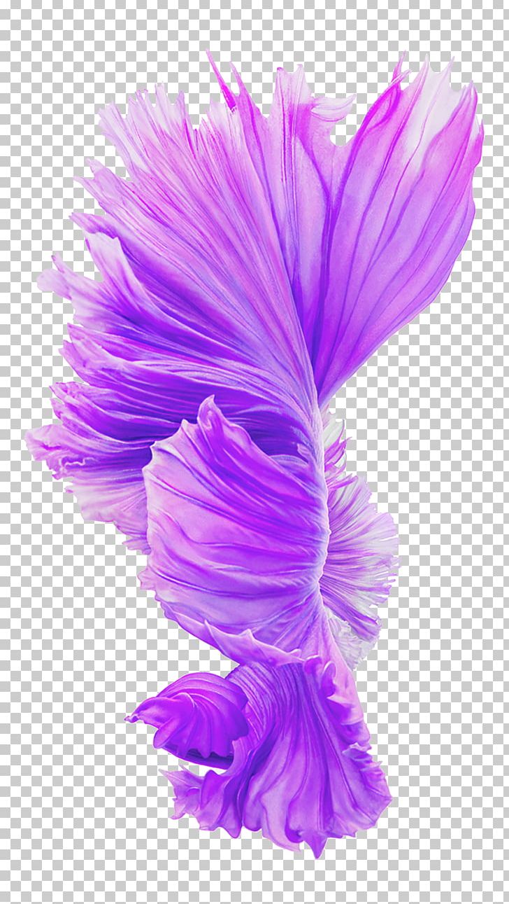 IPhone 6s Plus IPhone 6 Plus IPhone 4S IOS LTE PNG, Clipart, Apple, Art, Blooming, Feather, Flower Free PNG Download