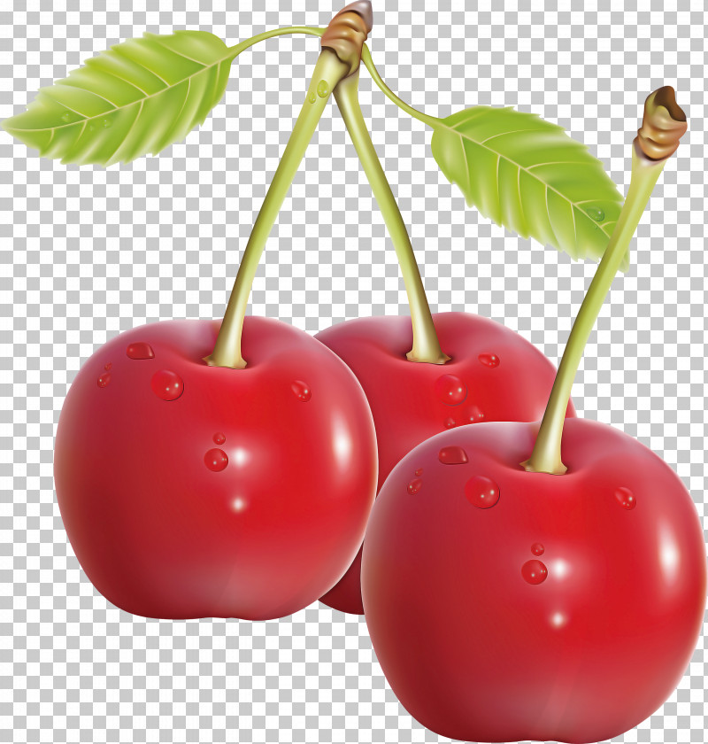 Cherry Fruit PNG, Clipart, Accessory Fruit, Acerola, Acerola Family, Cherry, Drupe Free PNG Download