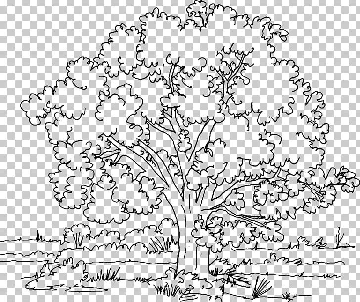 Coloring Book Tree Oak Adult PNG, Clipart, Adult, Area, Arecaceae, Art, Black And White Free PNG Download