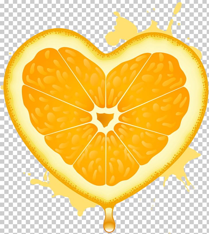 Orange Juice Fruit Lemon PNG, Clipart, Citron, Citrus, Commodity, Food, Fruit Free PNG Download