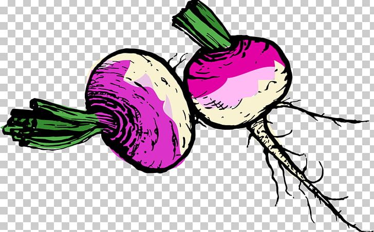 Turnip Vegetable Potato Rutabaga PNG, Clipart, Artwork, Cabbage, Fictional Character, Flower, Flowering Plant Free PNG Download