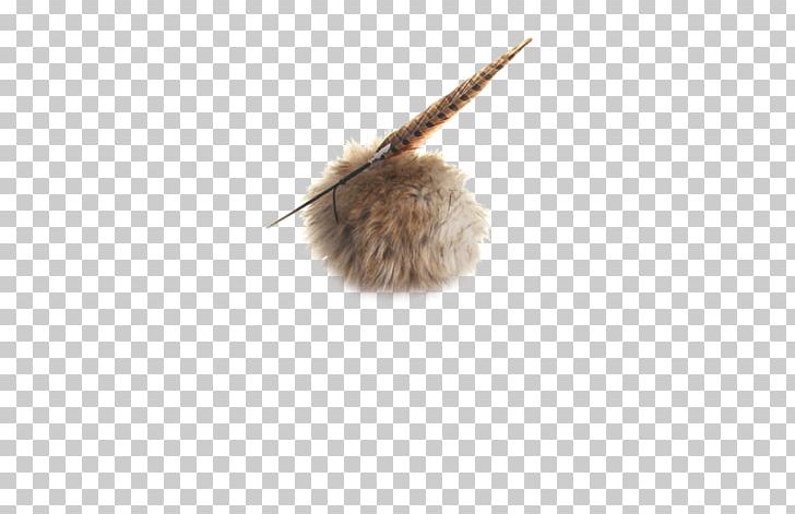 Feather Fur PNG, Clipart, Feather, Fur Free PNG Download