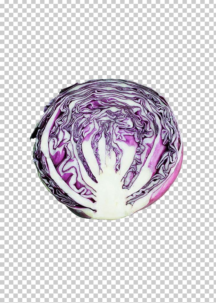 Red Cabbage Purple Vegetable Food PNG, Clipart, Brassica Oleracea, Cabbage, Circle, Crosssection, Foo Free PNG Download