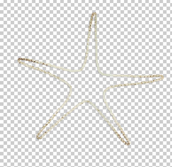 Starfish Ocean Euclidean PNG, Clipart, Animals, Dos, Echinoderm, Encapsulated Postscript, Euclidean Vector Free PNG Download