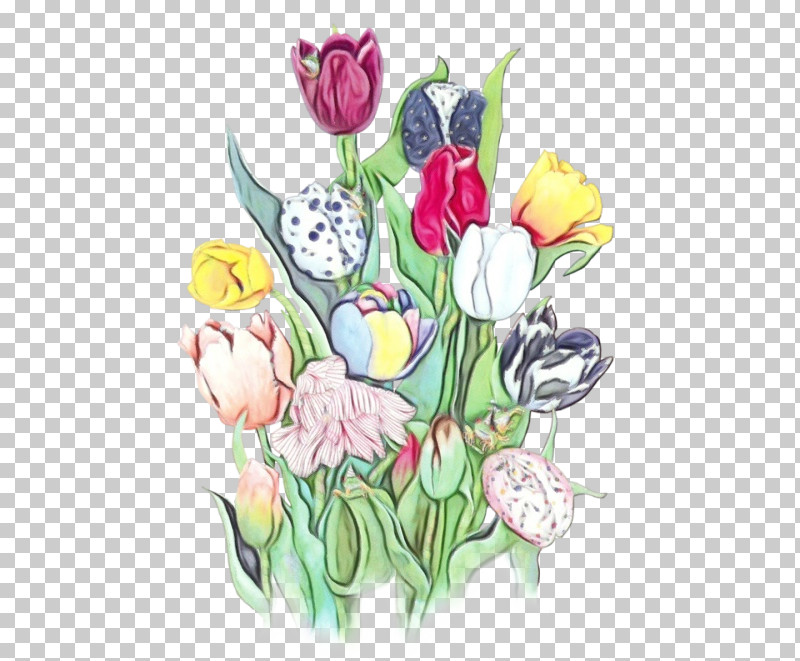 Flower Tulip Plant Cut Flowers Lily Family PNG, Clipart, Anthurium, Bouquet, Cut Flowers, Flower, Iris Free PNG Download
