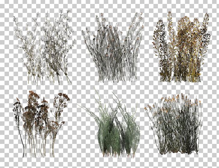 Desktop Green Lawn Plants PNG, Clipart, Black, Black And White, Branch, Desktop Wallpaper, Garden Free PNG Download