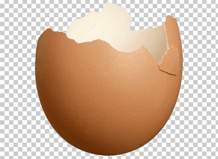 Eggshell Food Easter Egg Typographical Error PNG, Clipart, Child, Easter Egg, Egg, Eggshell, Fish Free PNG Download