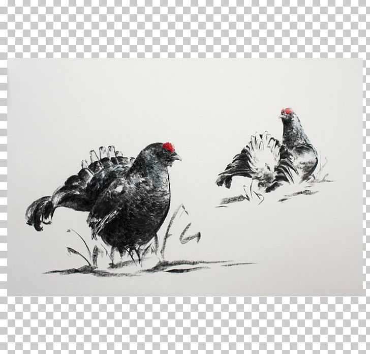 Watercolor Painting Rooster Rhinoceros Chicken PNG, Clipart, African Wild Dog, Art, Beak, Big Five Game, Bird Free PNG Download