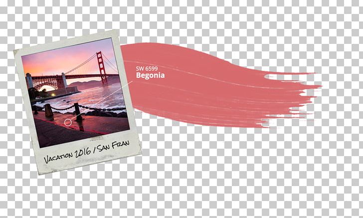 Begonia Watercolor Painting Paper PNG, Clipart, Aoc International, Begonia, Brand, Color, Dell Inspiron Free PNG Download