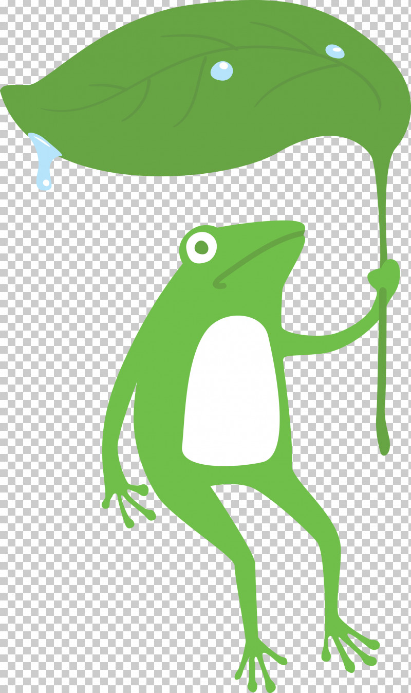True Frog Tree Frog Frogs Toad Cartoon PNG, Clipart, Cartoon, Frog, Frogs, Green, Leaf Free PNG Download
