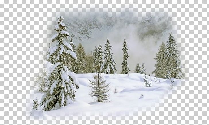 Animation Winter Season PNG, Clipart, Albom, Biome, Cartoon, Computer Wallpaper, Forest Free PNG Download