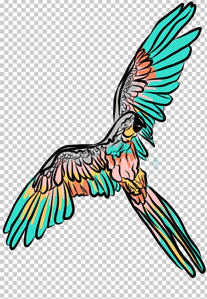 Beak Feather Macaw Art PNG, Clipart, Animals, Art, Artwork, Beak, Bird Free PNG Download