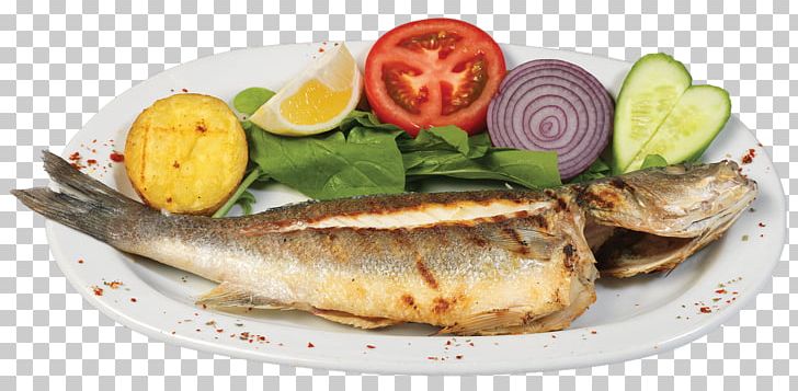 Grilling Fish Kipper Bass Gilt-head Bream PNG, Clipart, Animals, Animal Source Foods, Atlantic Bonito, Bass, Bluefish Free PNG Download