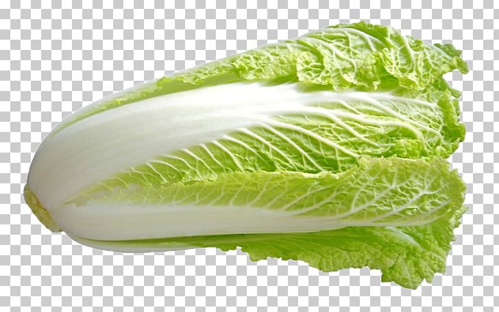 Savoy Cabbage Romaine Lettuce Spring Greens Napa Cabbage PNG, Clipart, Auglis, Brassica, Brassica Oleracea, Cabbage, Chinese Free PNG Download