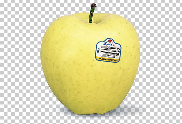 Apple Pie Granny Smith Golden Delicious Red Delicious PNG, Clipart, Apple, Apple Pie, Apple Sauce, Cooking Apple, Cripps Pink Free PNG Download