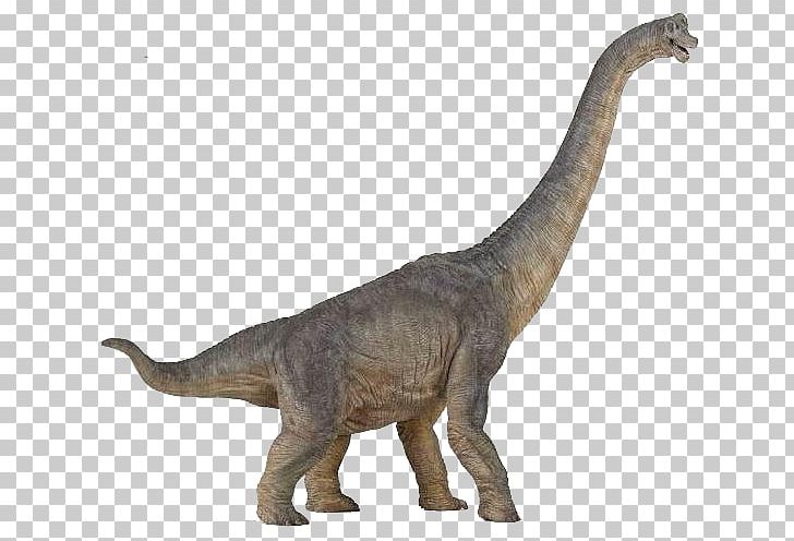 Brachiosaurus Tyrannosaurus Dinosaur Morrison Formation Baryonyx PNG, Clipart, Animal Figure, Armour, Baryonyx, Brachiosaurus, Cretaceous Free PNG Download