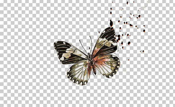 Butterfly PNG, Clipart, Arthropod, Brush Footed Butterfly, Data, Download, Encapsulated Postscript Free PNG Download
