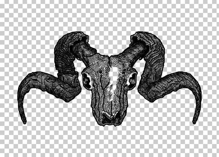 Montesa T-shirt Chiva Horn Goat Simulator PNG, Clipart, Black And White, Bone, Cabra, Chiva, Clothing Free PNG Download