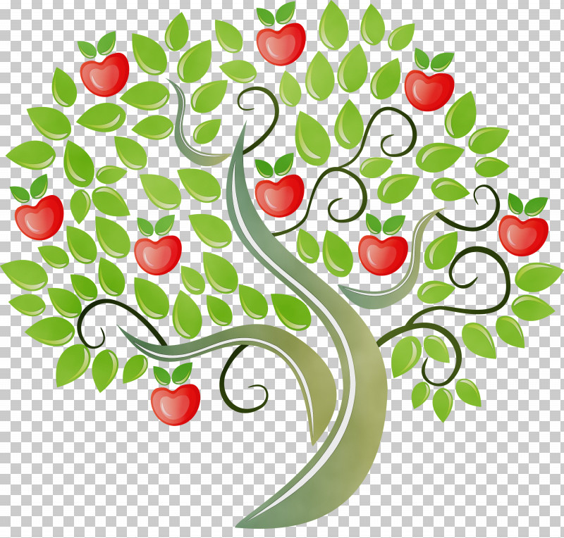 Tree Leaf Apple Fruit Apples PNG, Clipart, Apple, Apples, Branch, Deciduous, Fruit Free PNG Download
