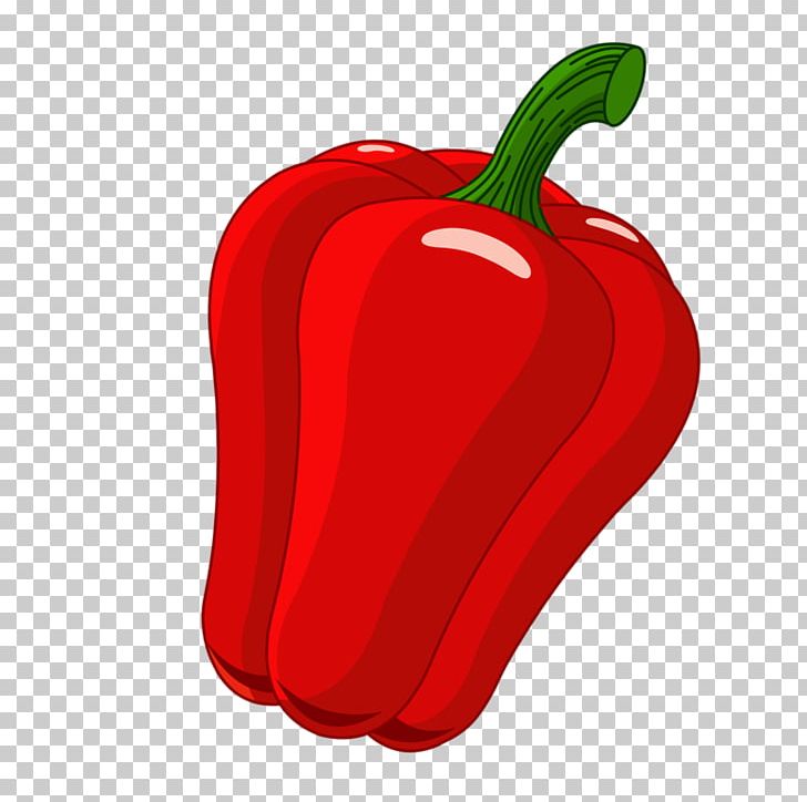 Chili Pepper Bell Pepper Cayenne Pepper Pimiento PNG, Clipart, Bell Peppers And Chili Peppers, Black Pepper, Capsicum, Capsicum Annuum, Food Free PNG Download
