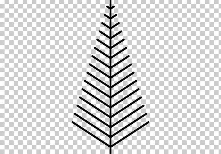 Christmas Tree Pine PNG, Clipart, Angle, Black And White, Branch, Christmas, Christmas Tree Free PNG Download