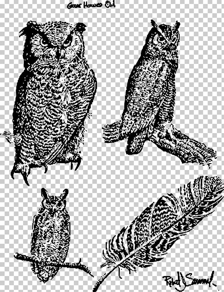 Great Horned Owl Bird Of Prey Snowy Owl PNG, Clipart, Animal, Animals, Art, Beak, Bird Free PNG Download