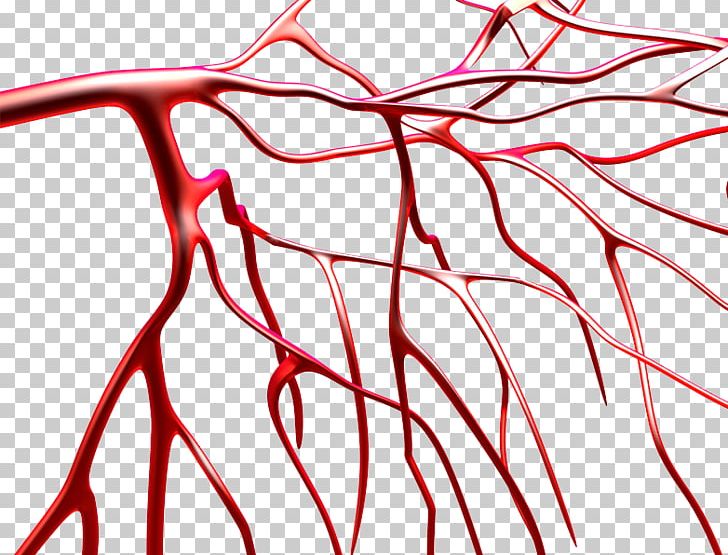 Blood Vessel Platelet PNG, Clipart, Area, Biotechnology, Black And White, Blood, Blood Donation Free PNG Download