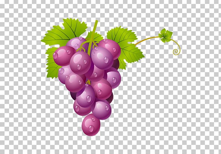 Grape PNG, Clipart, Computer Icons, Desktop Wallpaper, Drawing, Flowering Plant, Food Free PNG Download