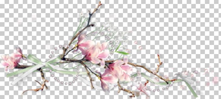 Photography Branch Others PNG, Clipart, Blossom, Branch, Bud, Cherry Blossom, Cut Flowers Free PNG Download