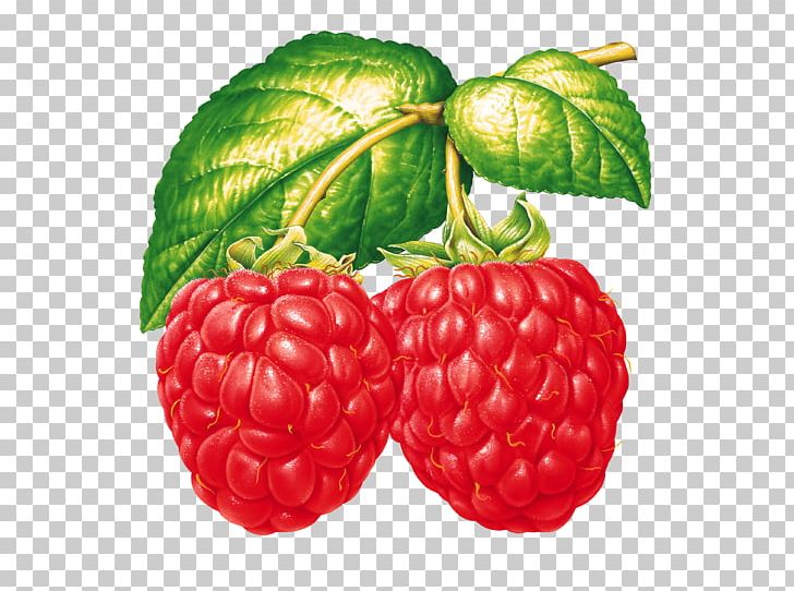 Raspberry Food Strawberry PNG, Clipart, Accessory Fruit, Auglis, Berry, Cake, Cherry Free PNG Download