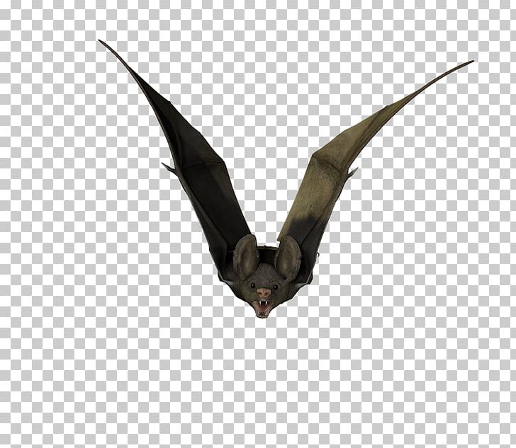 Visual Arts Stock Photography Bat PNG, Clipart, Animal, Art, Bat, Bat Clipart, Coconut Free PNG Download