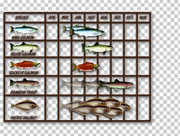 Fish PNG, Clipart, Fish, King Salmon, Others Free PNG Download