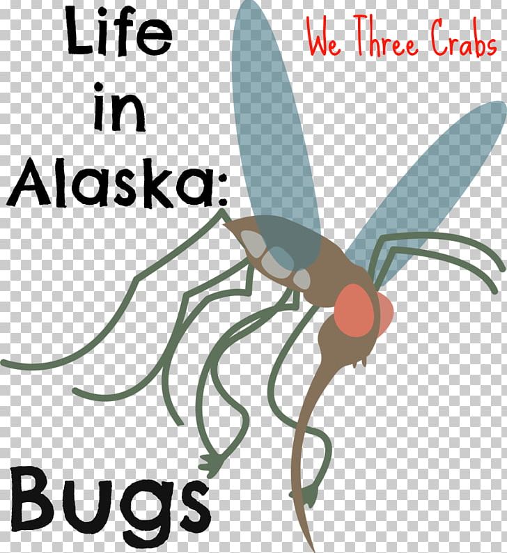 Fly Insect Ketchikan Aedes Albopictus PNG, Clipart, Aedes, Aedes Albopictus, Alaska, Area, Artwork Free PNG Download