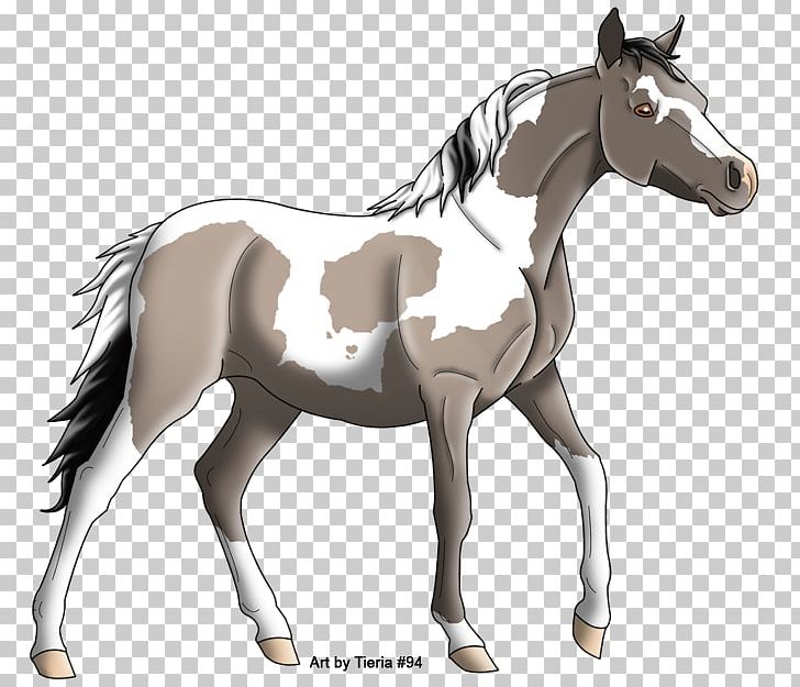 Mule Foal Stallion Colt Mare PNG, Clipart, Bridle, Character, Colt, Curious, Emporium Free PNG Download