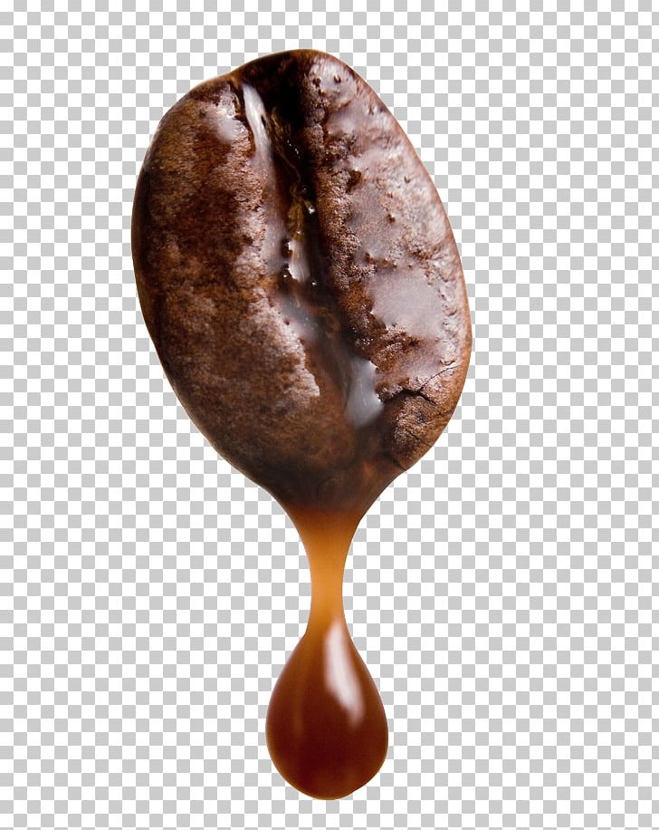 Arabica Coffee Cafe Robusta Coffee Coffee Bean PNG, Clipart, Brown, Camp Coffee, Chicken Meat, Chocolate, Coffee Free PNG Download