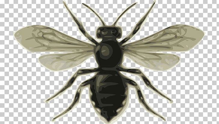Bee Insect PNG, Clipart, Arthropod, Bee, Beehive, Black And White Bee, Bumblebee Free PNG Download