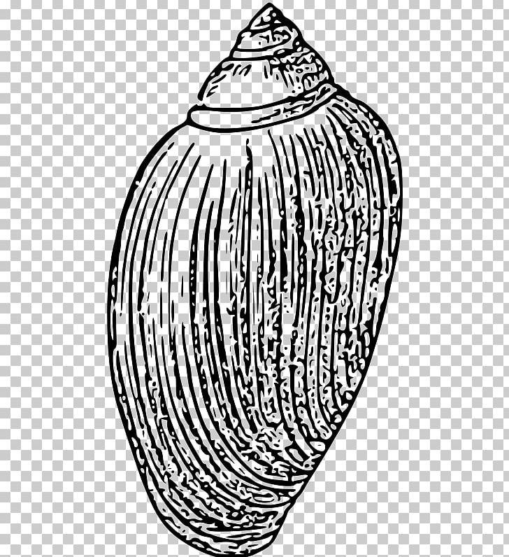 Black And White Invertebrate Seashell Drawing PNG, Clipart, Animals, Bivalvia, Black And White, Circle, Drawing Free PNG Download