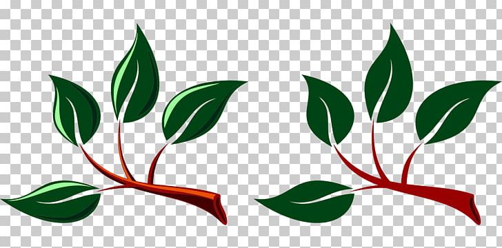 Branch Leaf Tree PNG, Clipart, Artwork, Branch, Bud, Flora, Flower Free PNG Download
