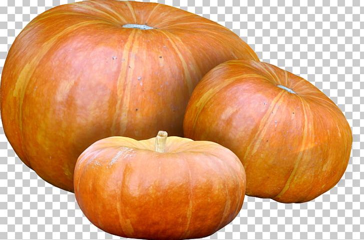 Calabaza Pumpkin Winter Squash Vegetable PNG, Clipart, Commodity, Cucumber Gourd And Melon Family, Cucurbita, Cucurbita Maxima, Food Free PNG Download