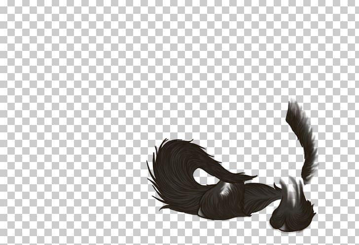 Canidae Dog Feather Mammal Tail PNG, Clipart, Beak, Canidae, Carnivoran, Claw, Dog Free PNG Download