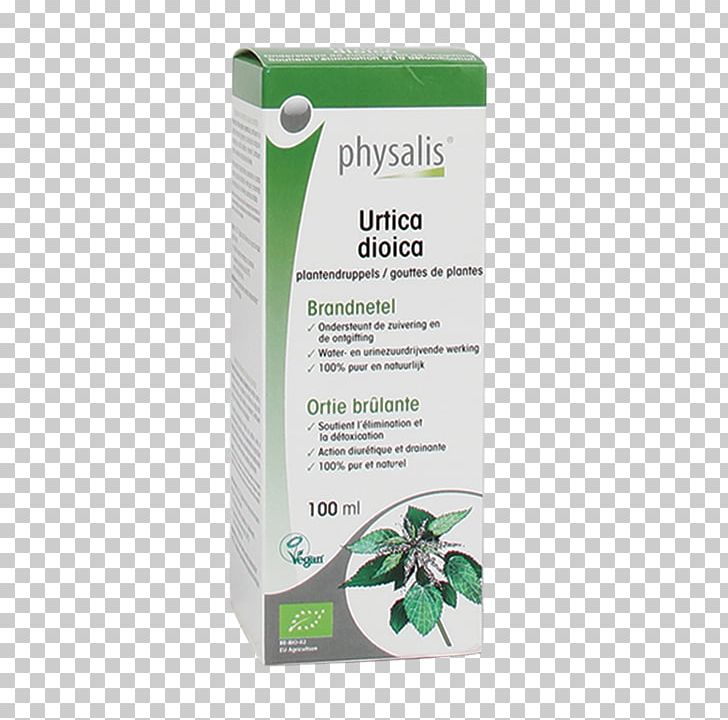 Common Nettle Dietary Supplement Milk Thistle Dioecy Physalis PNG, Clipart, Common Dandelion, Common Nettle, Common Sage, Dietary Supplement, Dioecy Free PNG Download