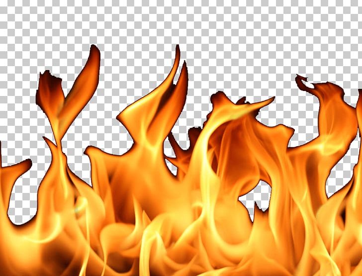 Flame Fire PNG, Clipart, Action, Clip Art, Color, Colored Fire, Combustion Free PNG Download